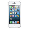 Apple iPhone 5 16Gb white - Печора