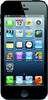 Apple iPhone 5 16GB - Печора