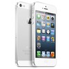 Apple iPhone 5 64Gb white - Печора
